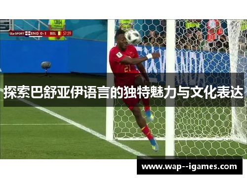 探索巴舒亚伊语言的独特魅力与文化表达