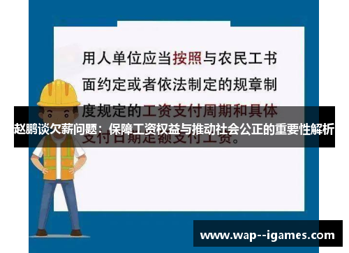 赵鹏谈欠薪问题：保障工资权益与推动社会公正的重要性解析
